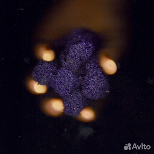 Стабилизированный Мох, Фиолетовый