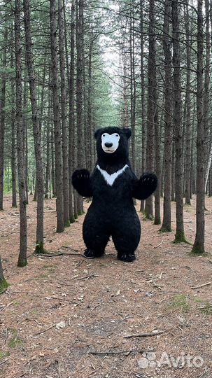 Ростовая Кукла Белый Мишка Поздравление