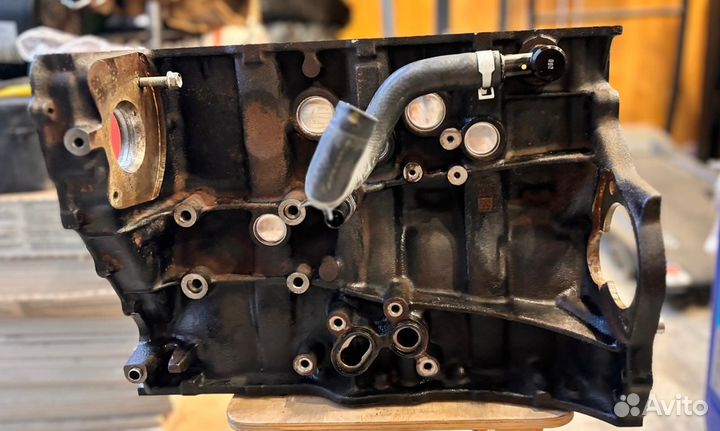 Блок двигателя Kia carnival