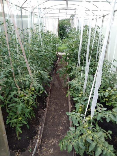 Дача 35 м² на участке 6 сот.