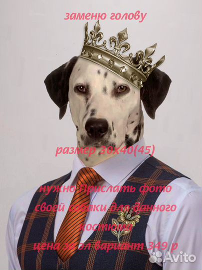 Собаки костюмы