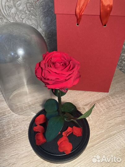 Роза в колбе