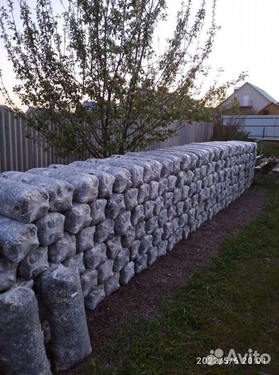 Грибные блоки вешенки