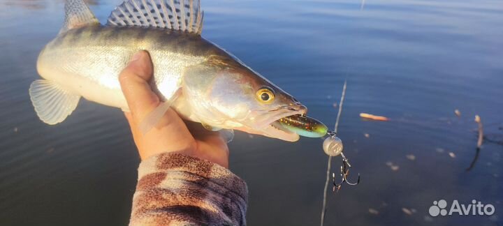 Топовые силиконовые приманки