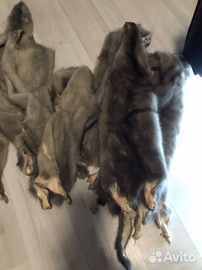 Мех норки шкурки