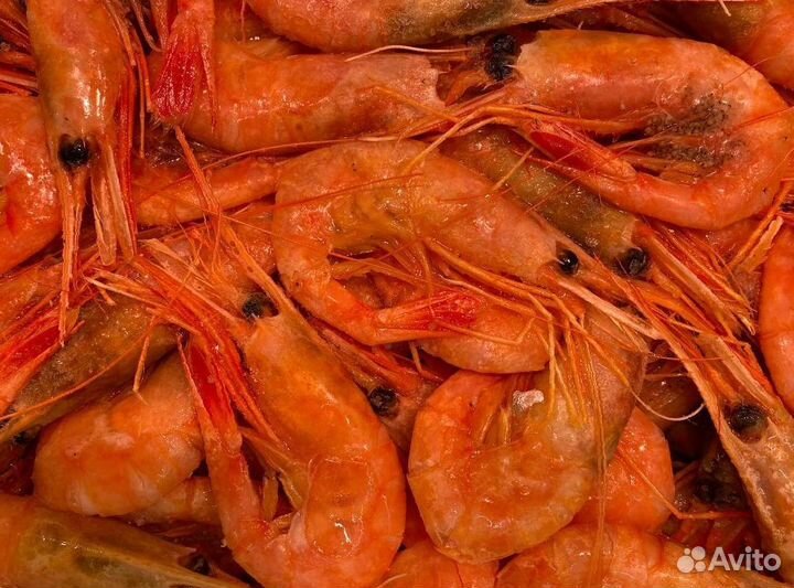 Креветка северная. Промфлот. Опт