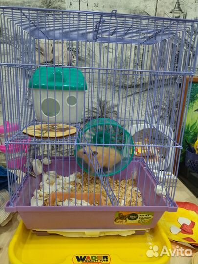 Клетка для хомяка
