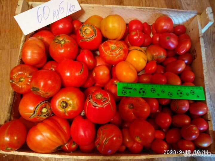 Помидоры, яблоки, тыквы