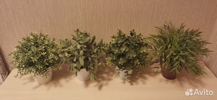 Искусствленные растения от IKEA
