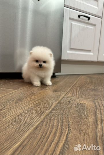 Супер мини кнопочки