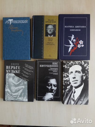 Домашняя библиотека. Поэзия