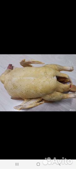 Мясо бройлера ути гуси