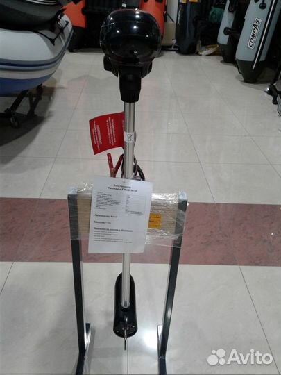 Электромотор плм Watersnake fwad 30/30 advance