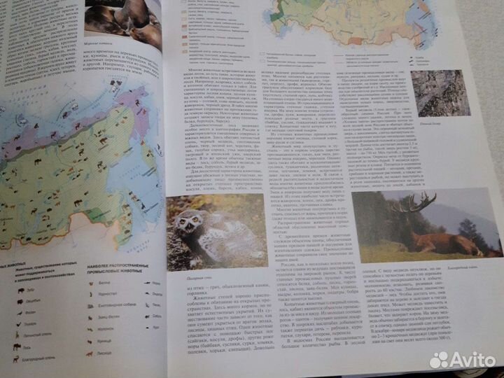 Иллюстрированный атлас России