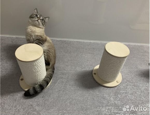 Когтеточки хб для кошек