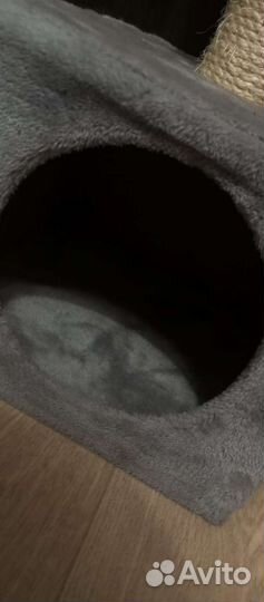 Когтеточка домик для кошки бу