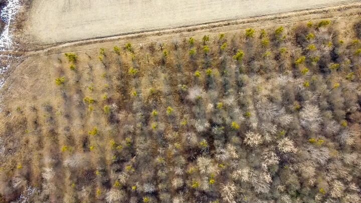 Участок 10 га (СНТ, ДНП)