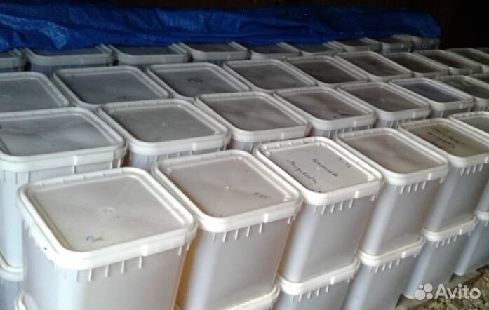 Мёд натуральный из Алтая опт min 16kg