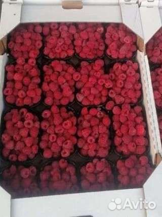 Малина Садовая грунтовая Брест область 4.8