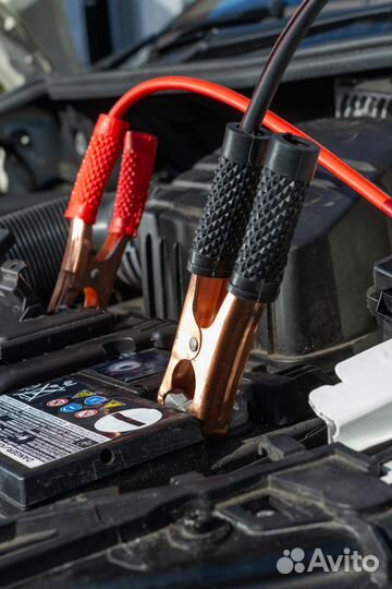 Автоэлектрик с выездом с 11 до 69306