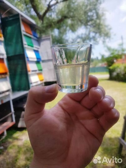 Мед акациевый 2023