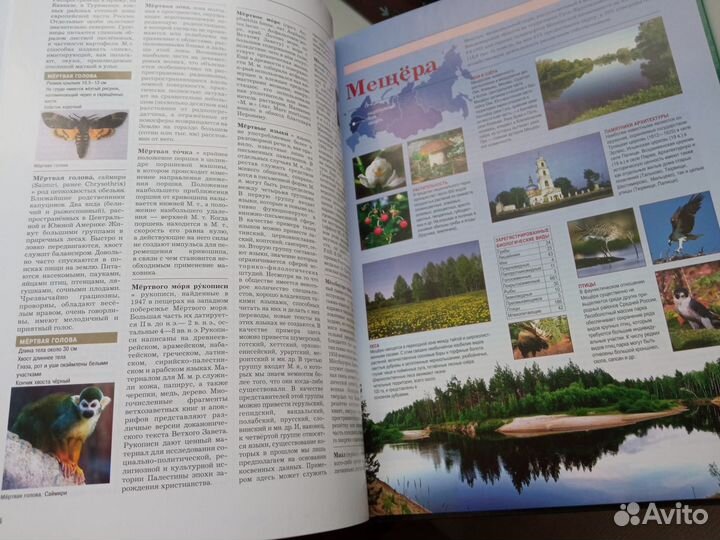 Энциклопедия