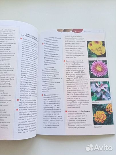 Книга Прессованная флористика