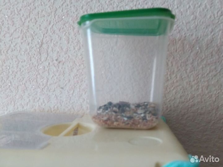 Хомяк с клеткой