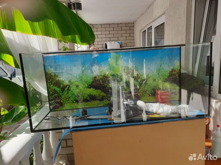 Аквариум