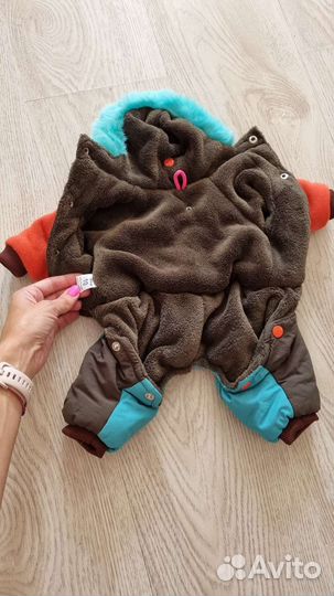 Костюм для собаки