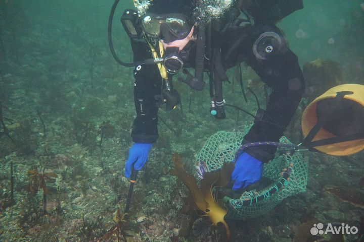 Гастро туры