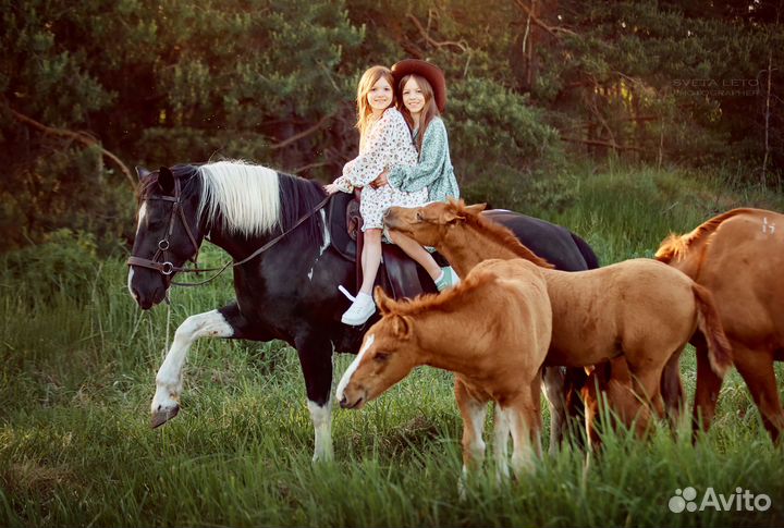 Прогулки на лошадях (лес), обучение (крытый манеж)