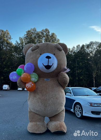 Поздравление от мишки Тедди