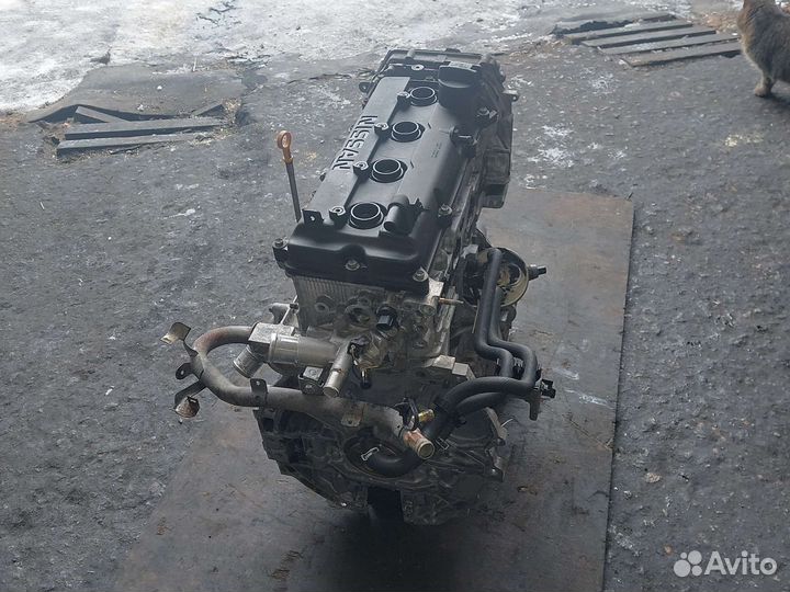 Двигатель QR25 ниссан X-trail T30 2.5i