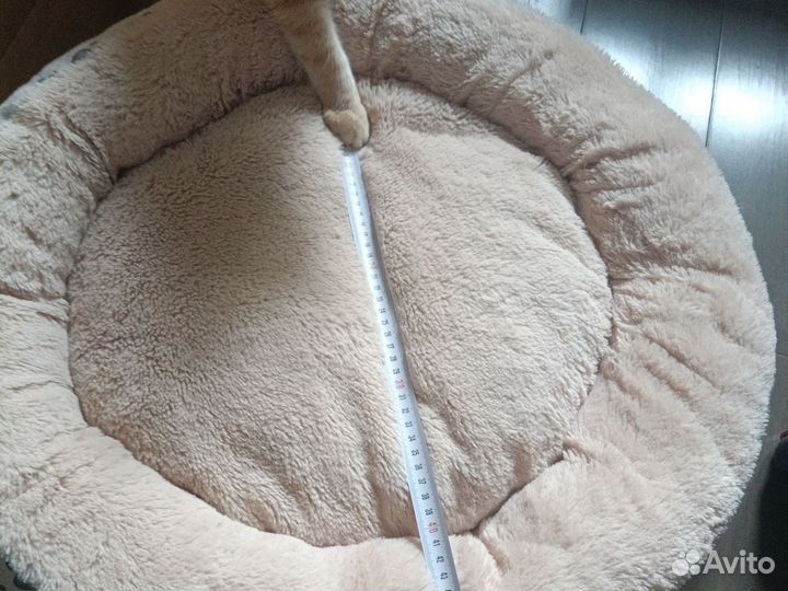 Лежанка для животных бу