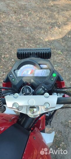 Рейсер нитро 250