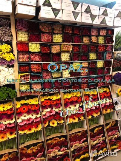 Цветы Букеты Розы Доставка 101 роза 51 роза 25 роз