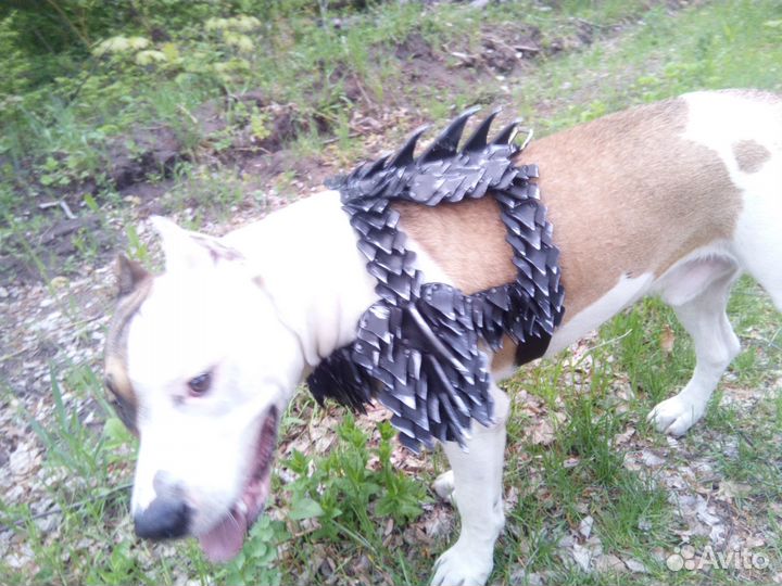 Шлейка кожаная для собаки