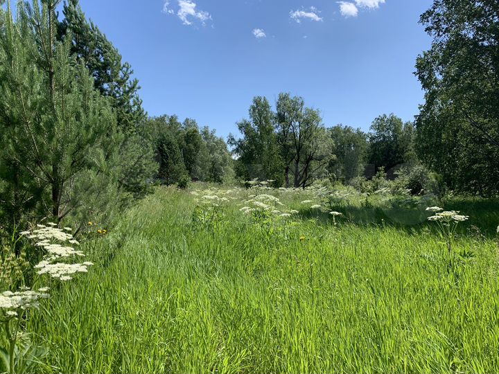 Участок 13,4 сот. (СНТ, ДНП)