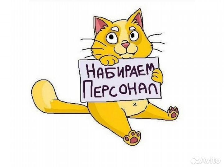 Работа Комплектовщик Работа в Санкт-Петербургебез