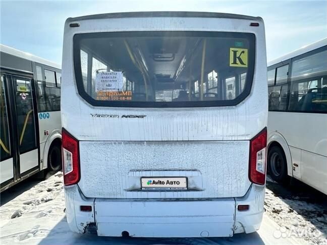 Городской автобус ПАЗ Вектор Next, 2023