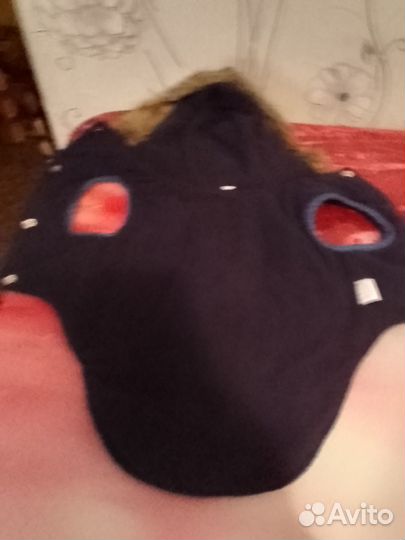 Комбенизон для собачки