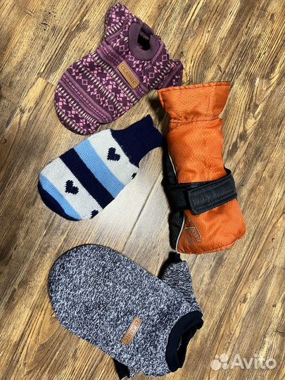 Костюм для собаки