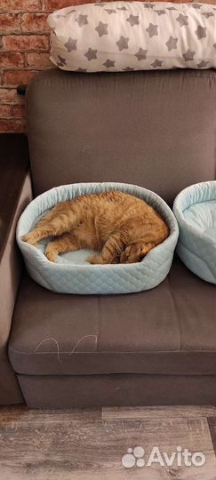 Лежанка для кошек и собак мелких пород