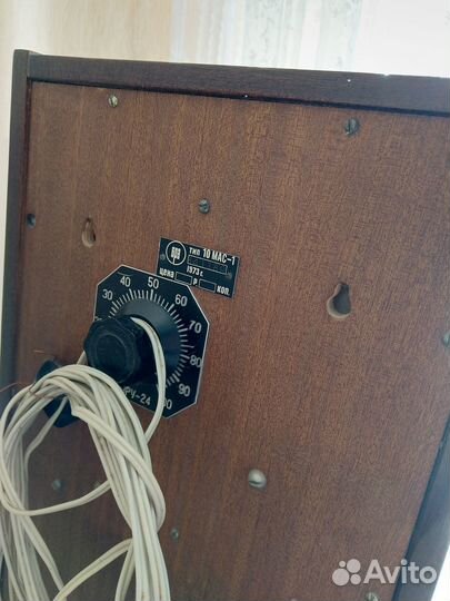 Акустические колонки 10-мас-1 (2 штуки)