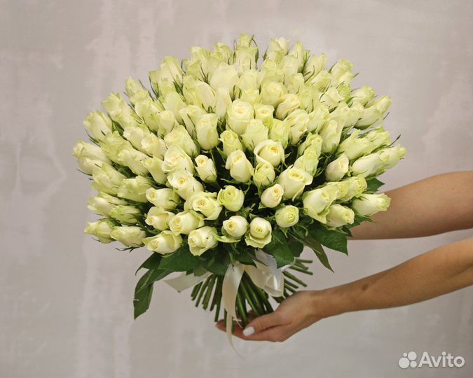 Букеты из 25, 35, 51, 101 роз, красная, белая