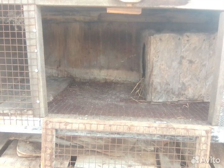 Клетка для кроликов