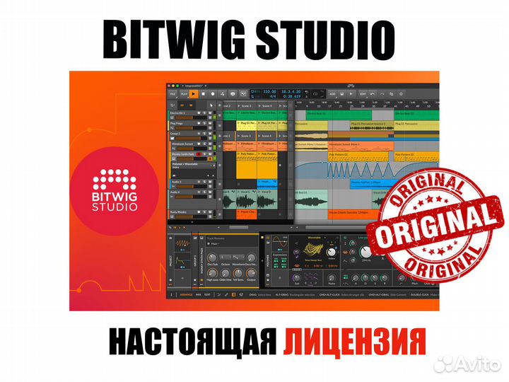 Bitwig Studio 5 (новая оф. лицензия)