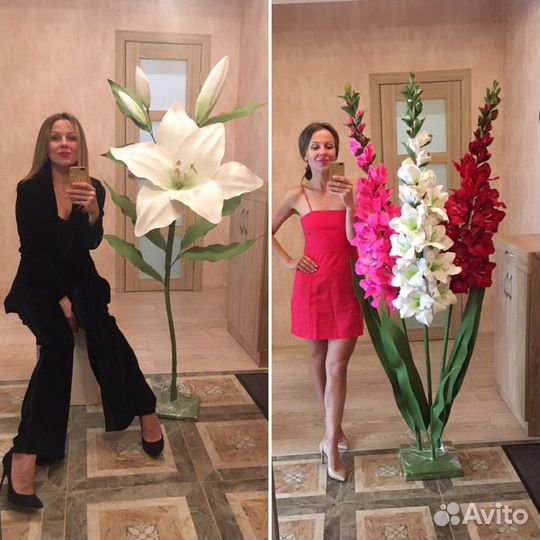 Ростовые цветы