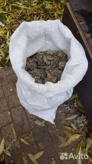 Голубиный помёт удобрения для овощей и цветов